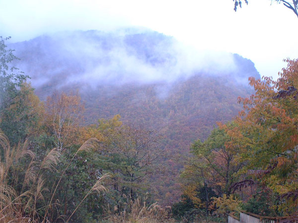 飛騨高山・奥飛騨中尾地区から