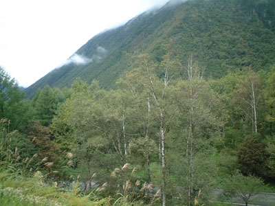 奥飛騨温泉郷、新穂高付近の紅葉