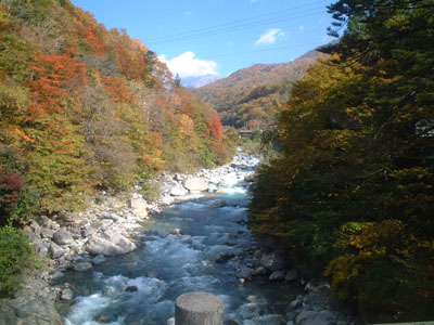 奥飛騨温泉郷、新穂高付近の紅葉