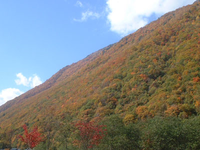 奥飛騨温泉郷、新穂高付近の紅葉