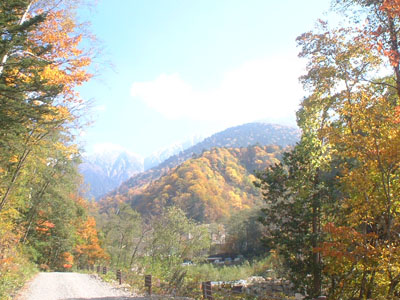 奥飛騨温泉郷、新穂高付近の紅葉